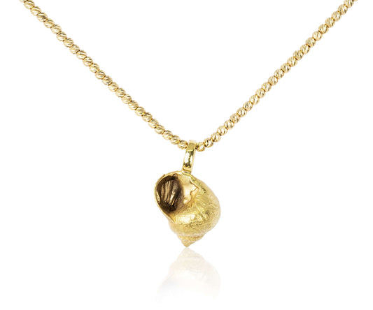 Die große Schnecke aus Holnis in Gold für den Hals