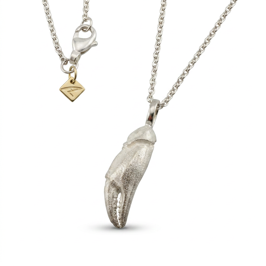 Die Krebsschere aus Holnis L für den Hals in Silber