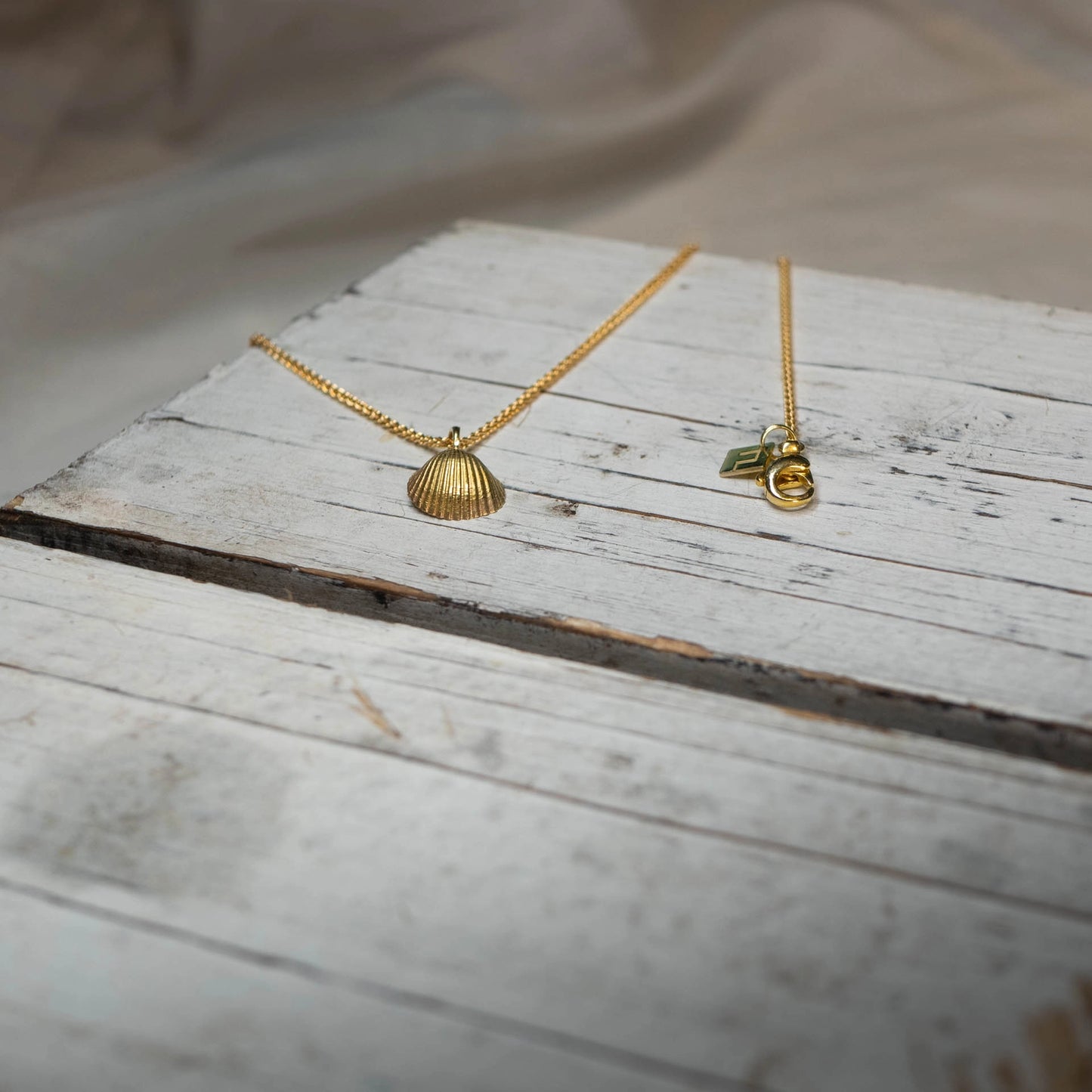Die kleine Herzmuschel aus Wassersleben in Gold für den Hals