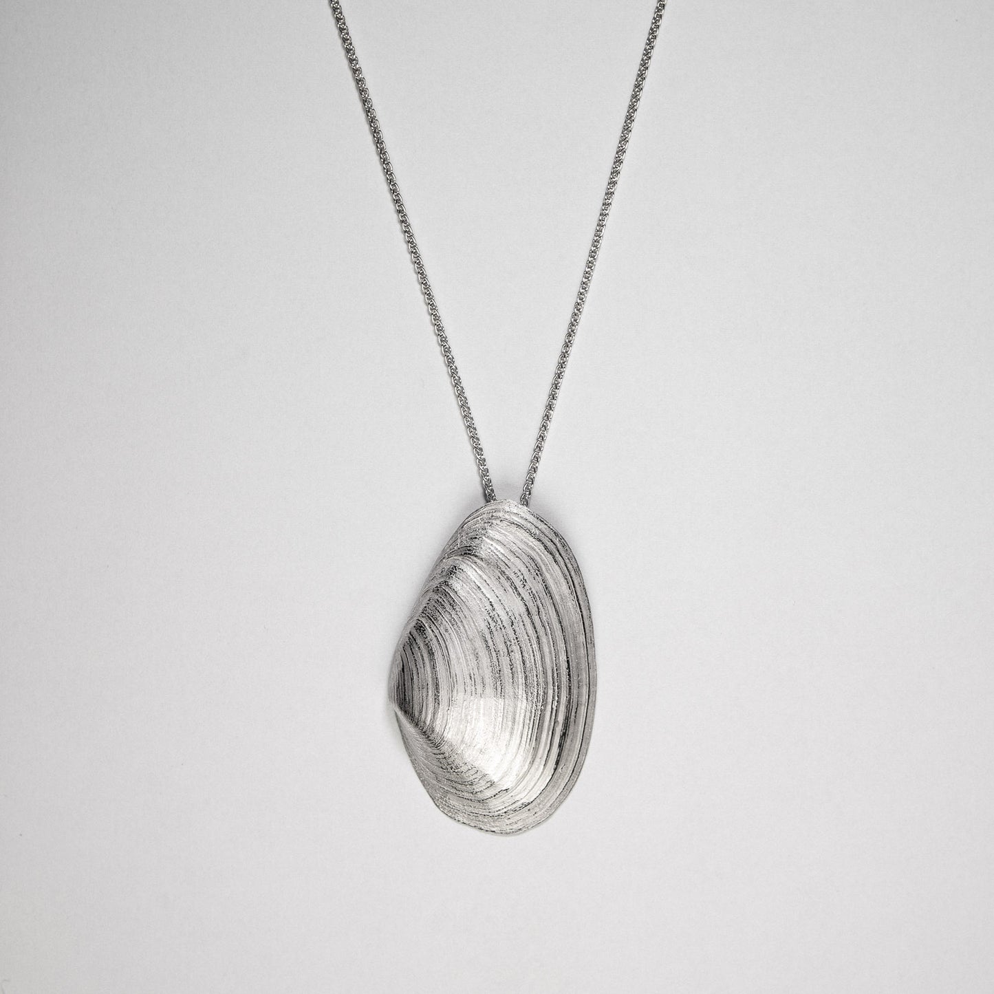 Die große Sandklaffmuschel aus Glücksburg in Silber für den Hals