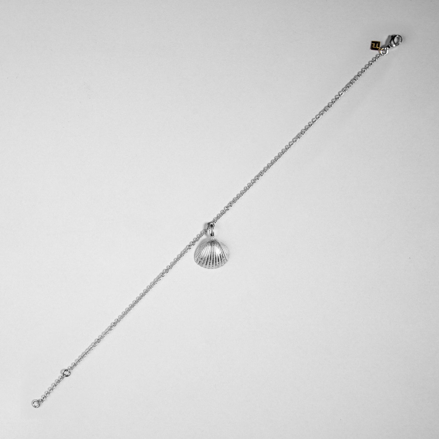 Die große Herzmuschel aus Wassersleben in Silber für den Fuß