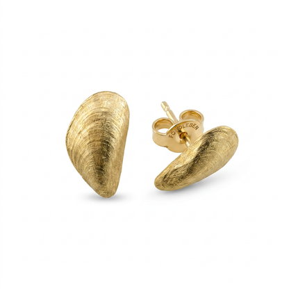 Die Miesmuschel aus Glücksburg S in Gold für das Ohr